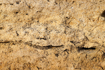 beige stone texture close up for natural background