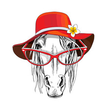 Portrait Of A Elegant Horse In A Red Summer Hat With A Flower And In A Glasses. Poster, T-shirt Composition, Handmade Print. Vector Illustration.