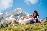 Fototapeta  - Mother and daughter petting cute sheep in mountain meadow.