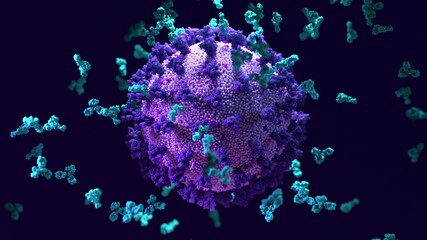 Wall Mural - Antibodies work to neutralize SARS-CoV-2 by binding to the S protein and blocking entry (ACE2)  into a host cells