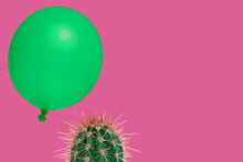 Cactus Plant On A Neon Pink Background With Above It Floating A Green Balloon As A Concept For Something Which Could Go Wrong Fast Easily