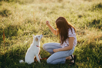 Wall Mural - Woman training cute white puppy to behave and new tricks in summer meadow in sunset light. Teamwork