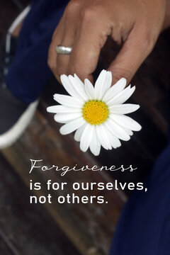 Wall Mural -  - Inspirational words - Forgiveness is for ourselves, not others. Forgive forgiving motivational quote concept with person holding a white daisy flower in hand on vintage background.