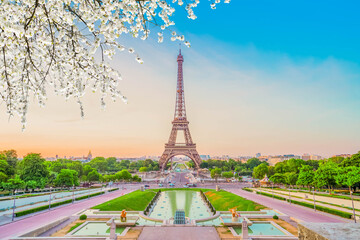 Wall Mural - eiffel tour and from trocadero, paris