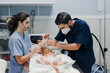 © Alberto Ortega/ADDICTIVE STOCK - Crop anonymous male veterinarian with nurse in uniforms treating animal patient on table in hospital
