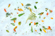 © Cesar Llaneza/ADDICTIVE STOCK - Top view of colorful fallen leaves scattered on snowy ground in nature in winter