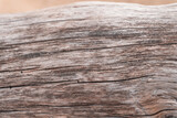 Fototapeta  - Jasne piękne drewniane tło, tekstura białego drzewa, pnia ze słojami. 