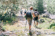 © Pol Sole/ADDICTIVE STOCK - Back view of unrecognizable group of trekkers with rucksacks and poles strolling on pathway on summer day