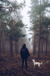 © Ruben Soto/ADDICTIVE STOCK - Back view of anonymous male walking along path in woods with dog on foggy day