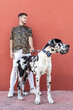 © Sergio Victor Vega/ADDICTIVE STOCK - Male owner standing with big Harlequin Great Dane dog during stroll in city and looking away