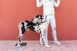 © Sergio Victor Vega/ADDICTIVE STOCK - Trendy young male in casual clothes holing skateboard behind head and looking away while standing on street with adorable Harlequin Great Dane dog