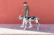 © Sergio Victor Vega/ADDICTIVE STOCK - Full body of young male owner walking near obedient Harlequin Great Dane dog and messaging on mobile phone on street