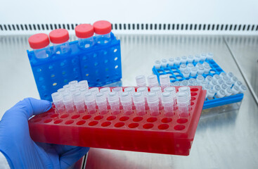 Poster - Close-up, a scientist holds in his hand a red laboratory rack with small closed test tubes in front of other laboratory racks.