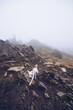 © Ruben Soto/ADDICTIVE STOCK - White fluffy dog walking in rough rocky terrain in highlands on cloudy day