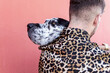 © Sergio Victor Vega/ADDICTIVE STOCK - Young unshaven male in casual clothes and adorable obedient Harlequin Great Dane dog hugging each other against red background