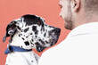 © Sergio Victor Vega/ADDICTIVE STOCK - Side view of happy young unshaven male in casual clothes and adorable obedient Harlequin Great Dane dog hugging each other against red background