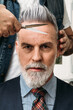© Txema Gerardo/ADDICTIVE STOCK - Crop faceless barber cutting gray hair of self assured middle aged elegant male client with beard in suit and tie