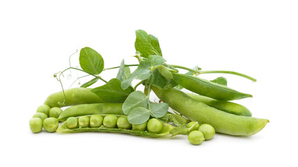 Poster - Green pea pods with leaves.