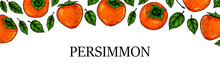 Hand Drawn Colorful Persimmon Horizontal Design. Vector Illustration In Colored Sketch Style.