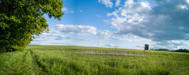 Wall Mural - Meadows with Hunter seat