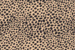 Abstract dots animal print design. Leopard print design. Cheetah skin background.