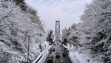 View To Lions Gate Bridge And Forest Trees Covered In Snow At Stanley Park