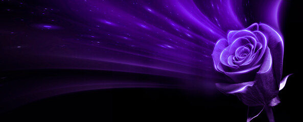 Wall Mural - abstract purple neon background. abstract purple rose, neon light, glare. magic flower.