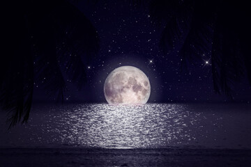 seascape and palm tree at night at full moon in sky the moon original source from nasa