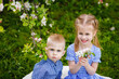 © Elena  - Cute kids girl and boy sit on the grass under an apple tree in a spring blooming garden. Brother and sister on a picnic in the spring.