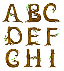 Wall Mural - Forest Alphabet with Letters Arranged from Tree Trunks and Branches Vector Set