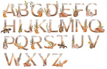 Watercolor Alphabet With Forest Animals And Floral