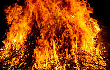 close-up - big hot and dangerous fire, orange flame