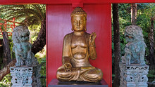 Antique Buddha Statue In Japanese Zen Garden 