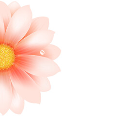 Canvas Print - Pink Flower, Isolated On White Background, Vector Illustration.