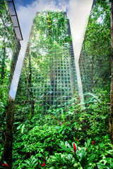 Wall Mural - green city - double exposure of lush green forest and modern skyscrapers windows