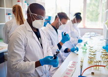 Group Of Diverse Technicians Working With Samples In A Lab
