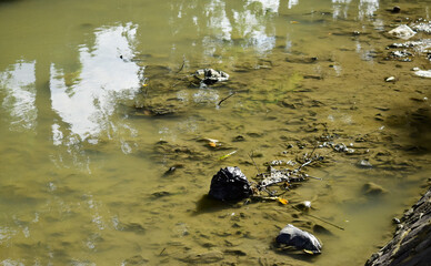 Plastic bags float in water, Plastic trash in rivers. Rivers polluted with plastic waste