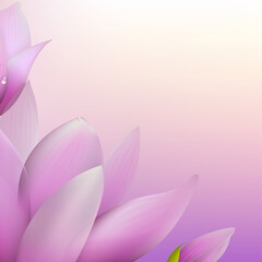 Wall Mural - Fresh Magnolia, Vector Illustration