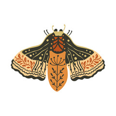 Wall Mural - design butterfly nature isolated insect vector art. spring boho bohemian moth.