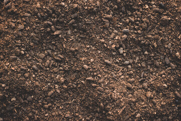 Wall Mural - Soil texture background, Fertile soil for planting.