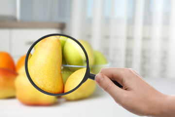 Wall Mural - woman with magnifying glass exploring fruits, closeup. poison detection