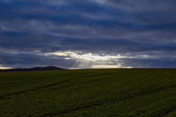 Landscape. Evening. Dark blue sky. The rays of the sun. Clouds. Green-yellow field. Hills.