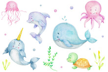 Sea Collection With Cute Whale, Dolphin, Narwhal, Octopus, Jellyfish, Turtle; Watercolor Hand Drawn Illustration; Can Be Used For Kid Poster; With White Isolated Background
