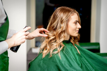 Wall Mural - Side view of female hairdresser using hairspray fixing client's female hair in a hair salon