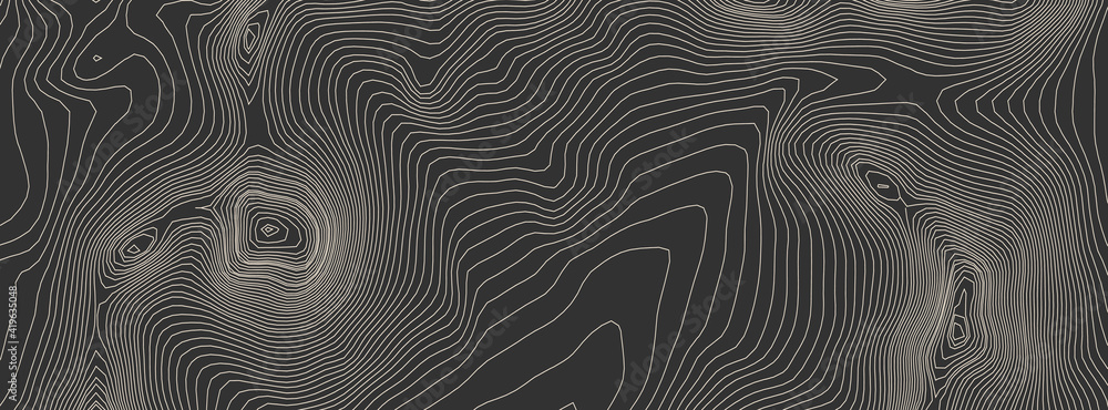 Contours vector topography. Geographic mountain topography vector illustration. Topographic pattern texture. Elevation graphic contour height lines. - obrazy, fototapety, plakaty 