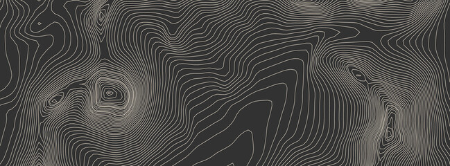 Contours vector topography. Geographic mountain topography vector illustration. Topographic pattern texture. Elevation graphic contour height lines.