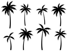 Black Palm Trees Set Isolated On White Background. Palm Silhouettes. Design Of Palm Trees For Posters, Banners And Promotional Items. Vector Illustration