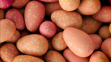 Multicolored, Easter Egg Background. Beautiful Orange, And Red Eggs With Floral, And Triangle Patterns. 3D Render