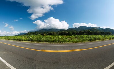 Wall Mural - Panorama of a highway paved with tracks, green field, banana plantation, mountains and blue sky with white clouds.