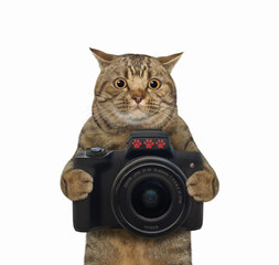 A beige cat photographer holds a black photo camera. White background. Isolated.